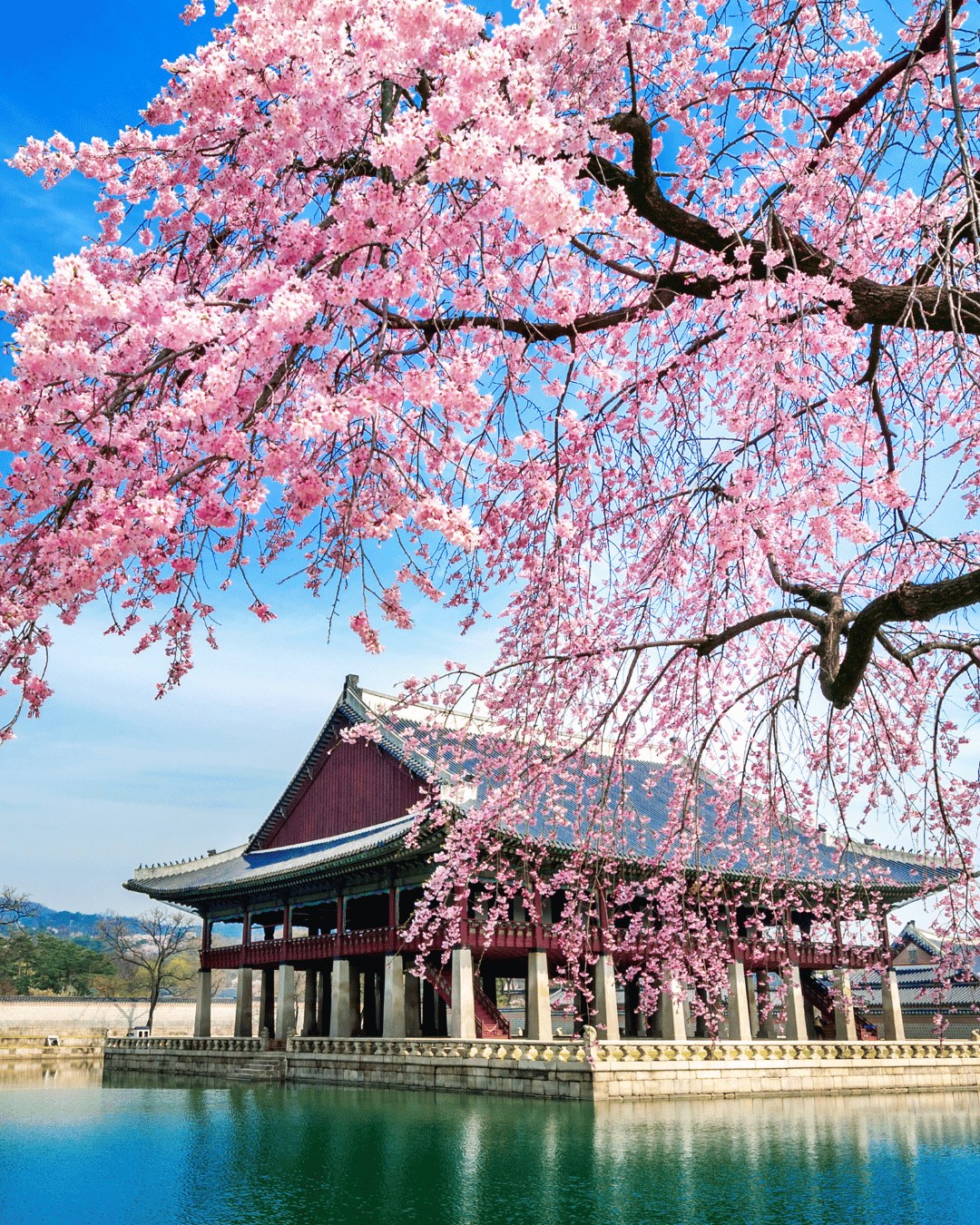 Gyeongbokgung Palace